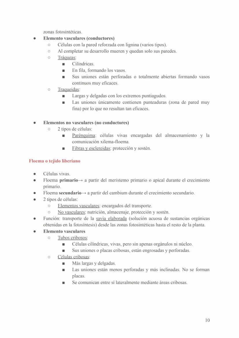 Seres unicelulares
- Son las bacterias, protozoos, algas y hongos
- Formados por 1 célula que realiza todas las funciones vitales (en contac