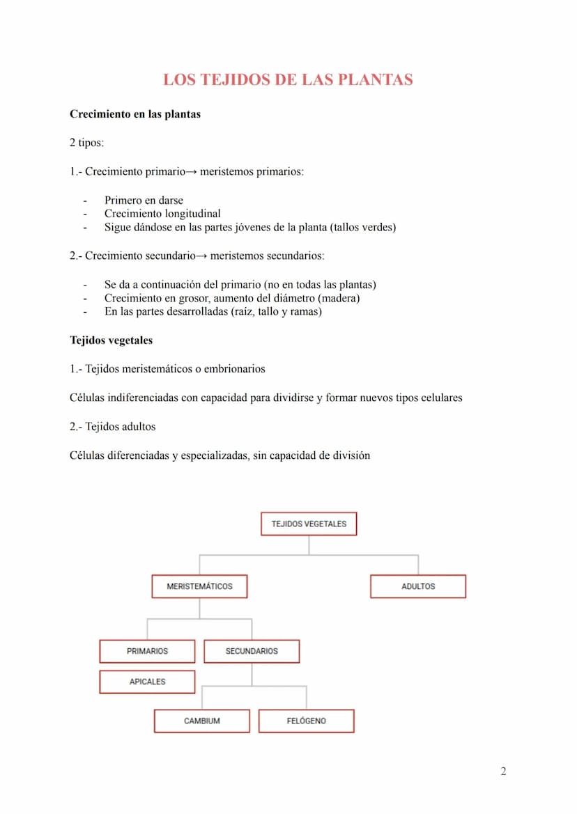 Seres unicelulares
- Son las bacterias, protozoos, algas y hongos
- Formados por 1 célula que realiza todas las funciones vitales (en contac