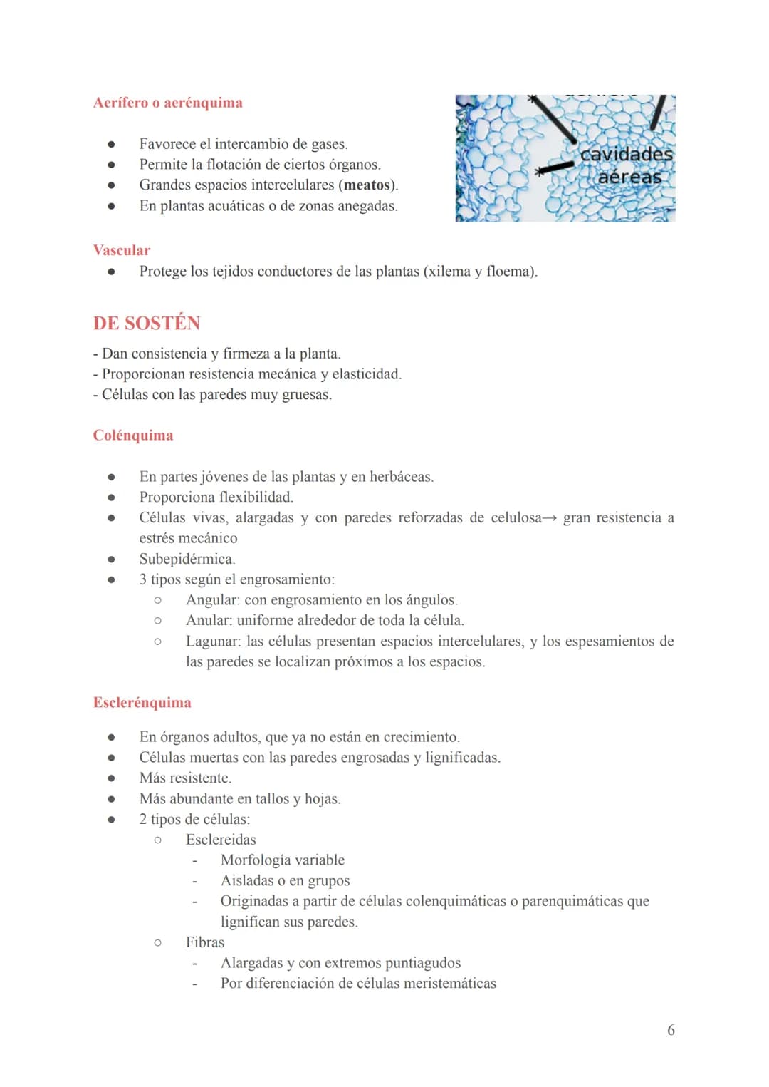 Seres unicelulares
- Son las bacterias, protozoos, algas y hongos
- Formados por 1 célula que realiza todas las funciones vitales (en contac