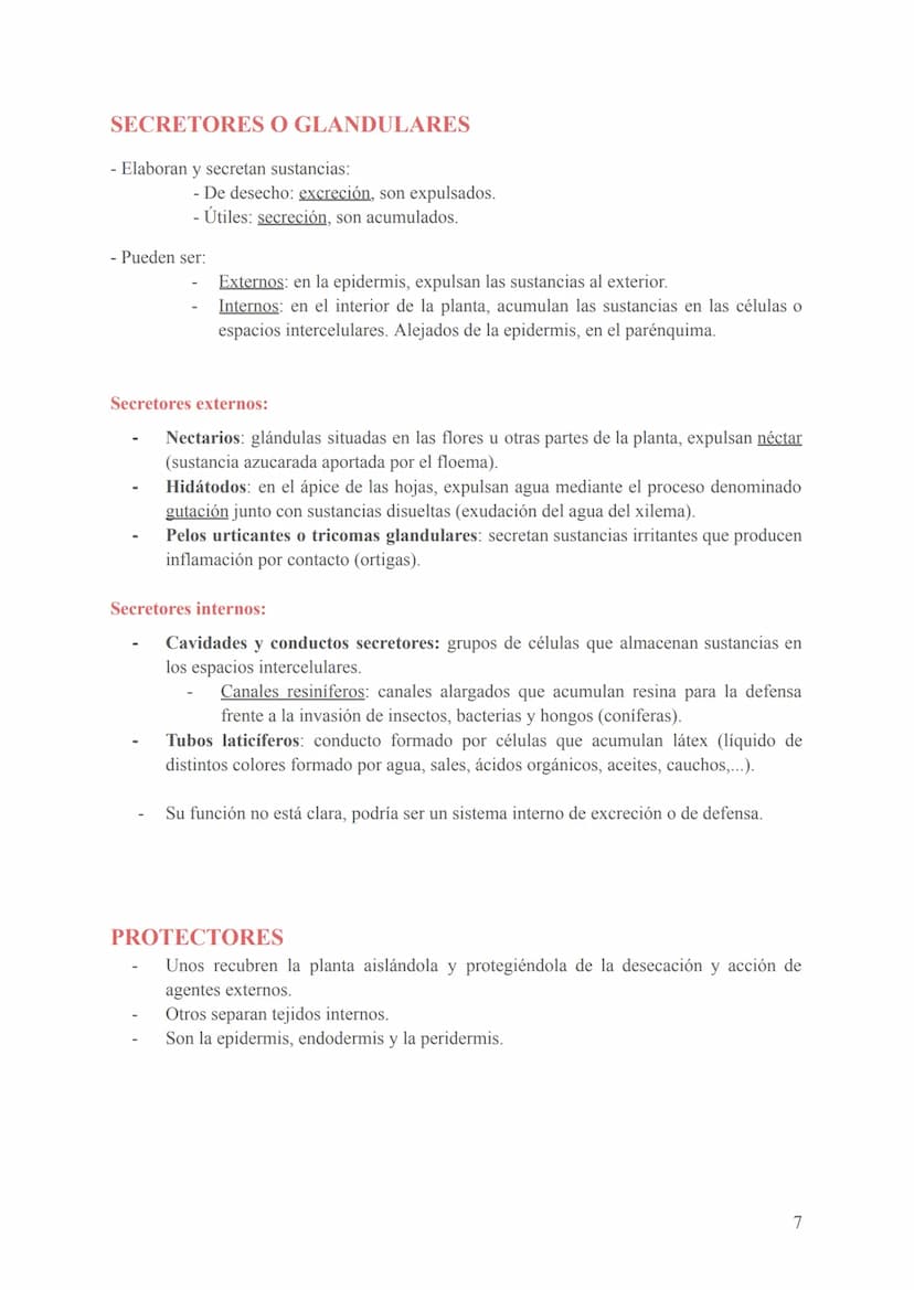 Seres unicelulares
- Son las bacterias, protozoos, algas y hongos
- Formados por 1 célula que realiza todas las funciones vitales (en contac