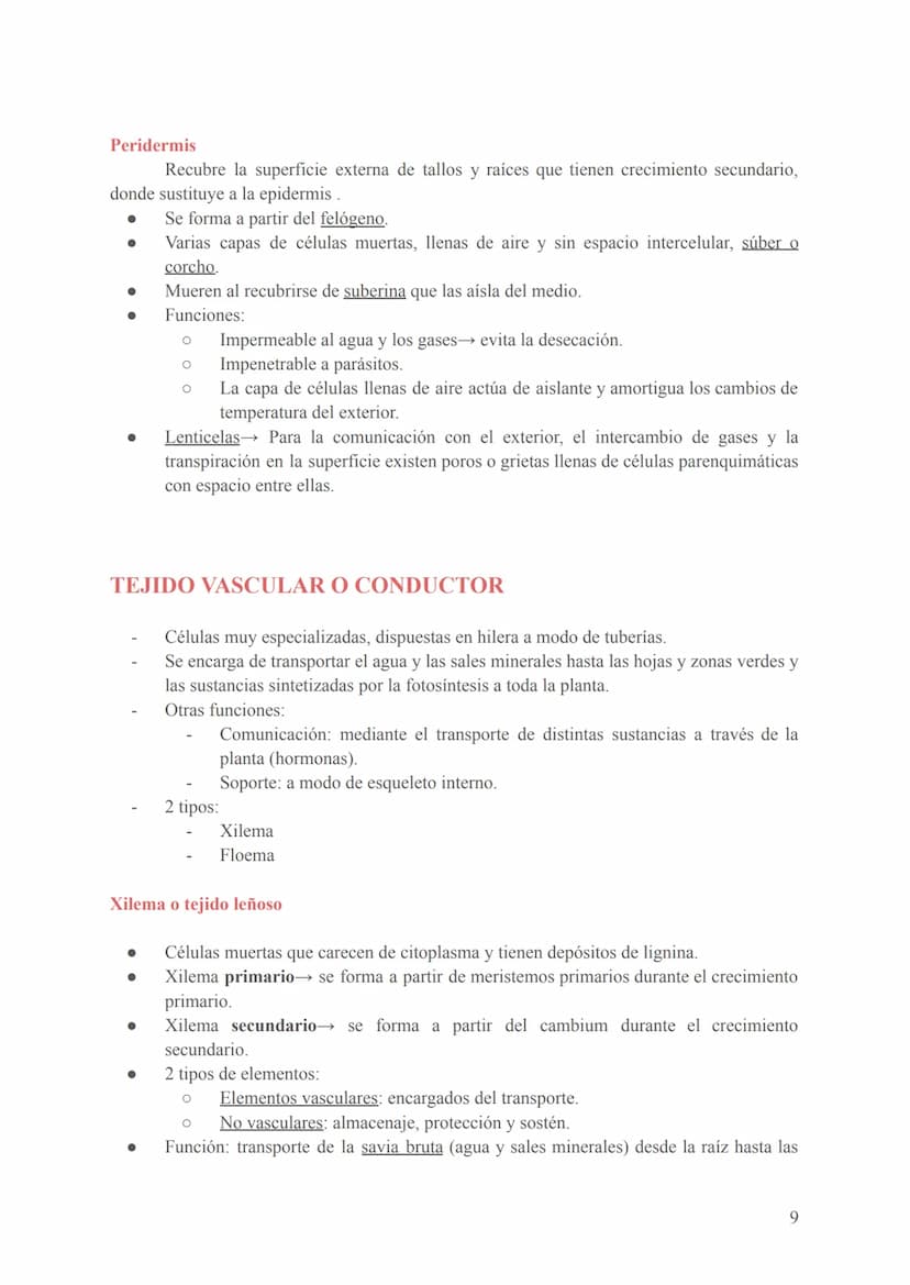 Seres unicelulares
- Son las bacterias, protozoos, algas y hongos
- Formados por 1 célula que realiza todas las funciones vitales (en contac