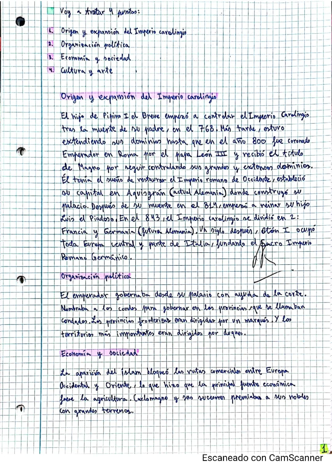 Resumen del Imperio Carolingio: Origen, Cultura, Sociedad y Economía