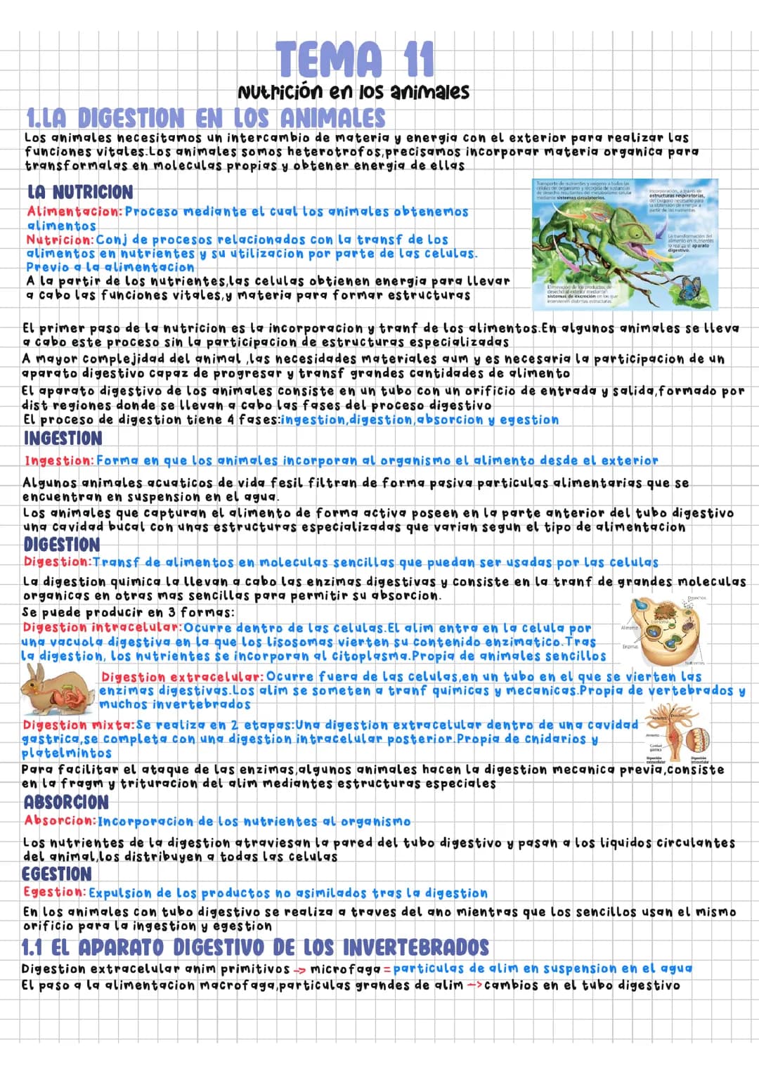 Tema 11. Nutrición en los animales
