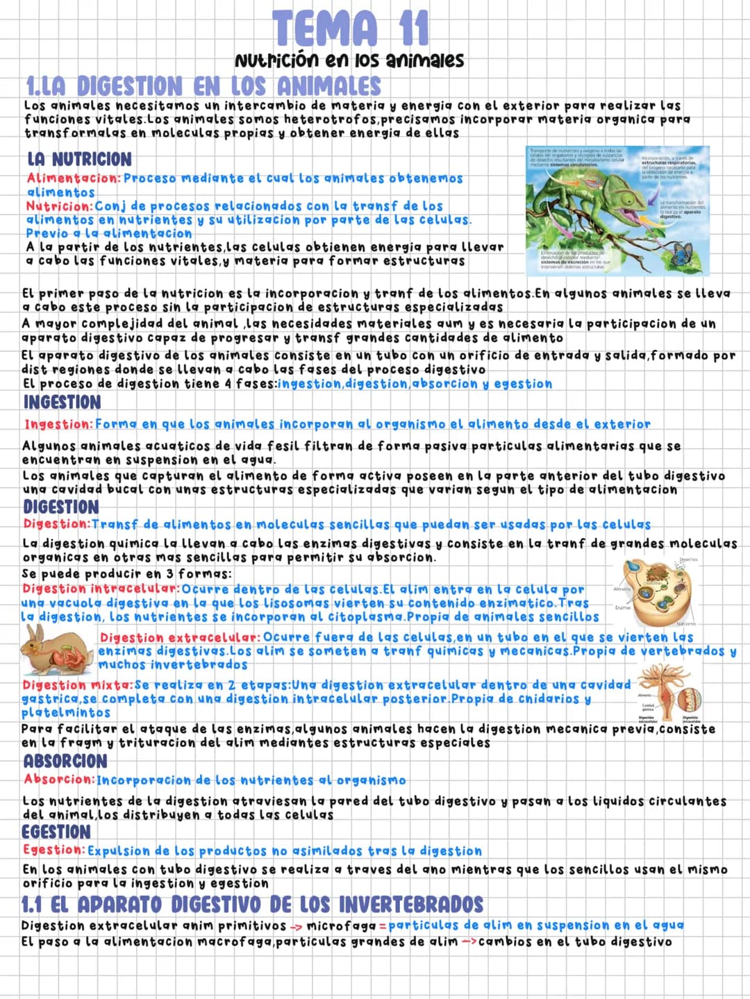 TEMA 11
Nutrición en los animales
1.LA DIGESTION EN LOS ANIMALES
Los animales necesitamos un intercambio de materia y energia con el exterio