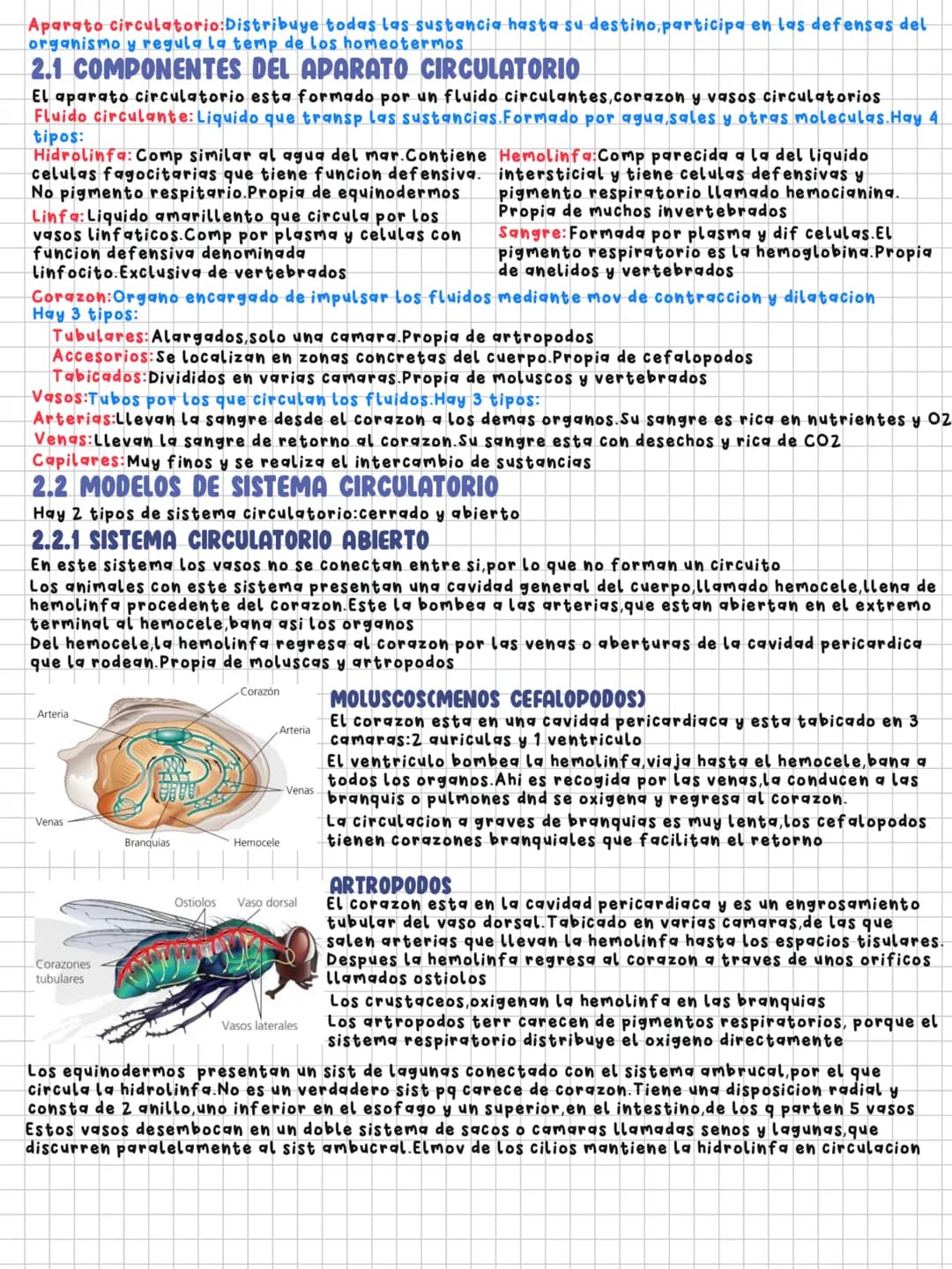 TEMA 11
Nutrición en los animales
1.LA DIGESTION EN LOS ANIMALES
Los animales necesitamos un intercambio de materia y energia con el exterio