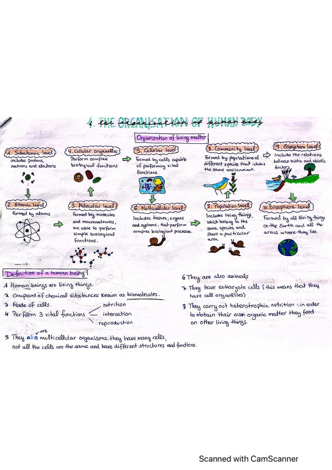 Subatomic level
includes protons,
neutrons and electrons.
C
{2. Atomic level)
Formed by atoms
I the organisation of human body
.
4. Cellular
