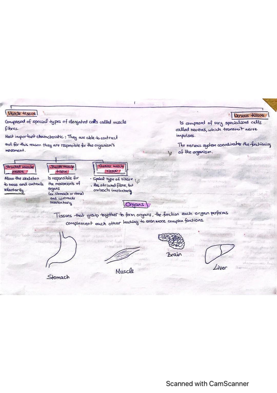 Subatomic level
includes protons,
neutrons and electrons.
C
{2. Atomic level)
Formed by atoms
I the organisation of human body
.
4. Cellular
