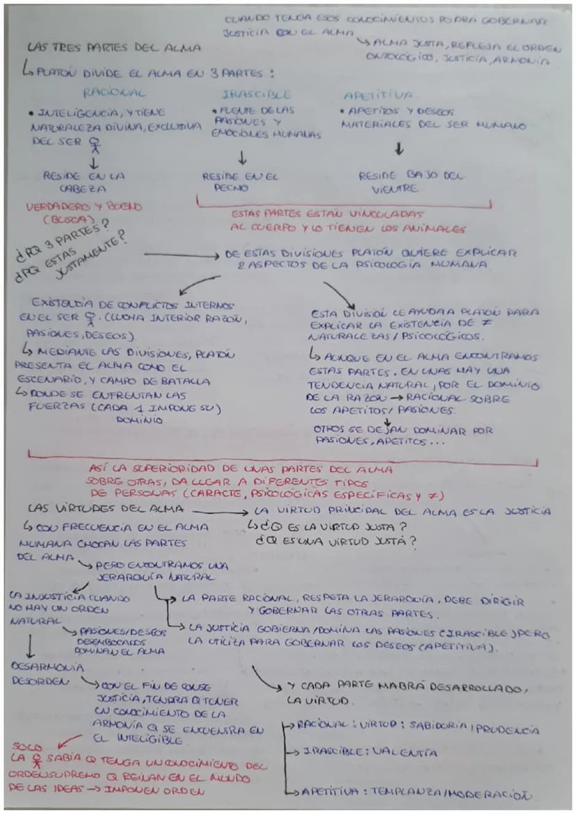 [212 LA TEORIA PLATÓNICA DE LAS IDEAS
TODAS LAS TEORÍAS DE EDUCACIÓN, EPISTEMOLOGIA, POLÍTICA, ÉTICA.
SEBESA
UNIVERSALES
PLATON PIENSA Q POD