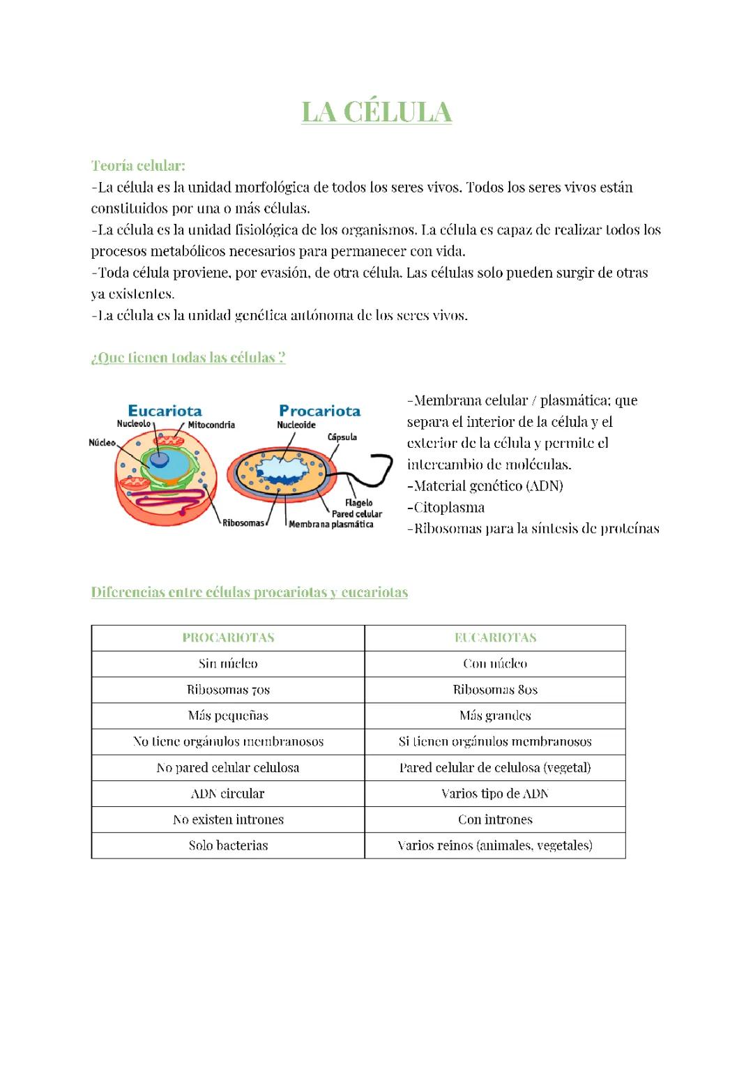 Apuntes de Biología 2 Bachillerato: Células Eucariotas y Procariotas