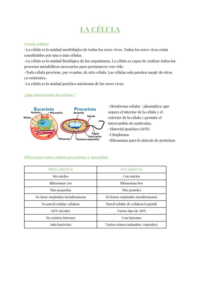 
<h2 id="teoracelular">Teoría Celular</h2>
<p>La teoría celular establece que la célula es la unidad morfológica y fisiológica de todos los 