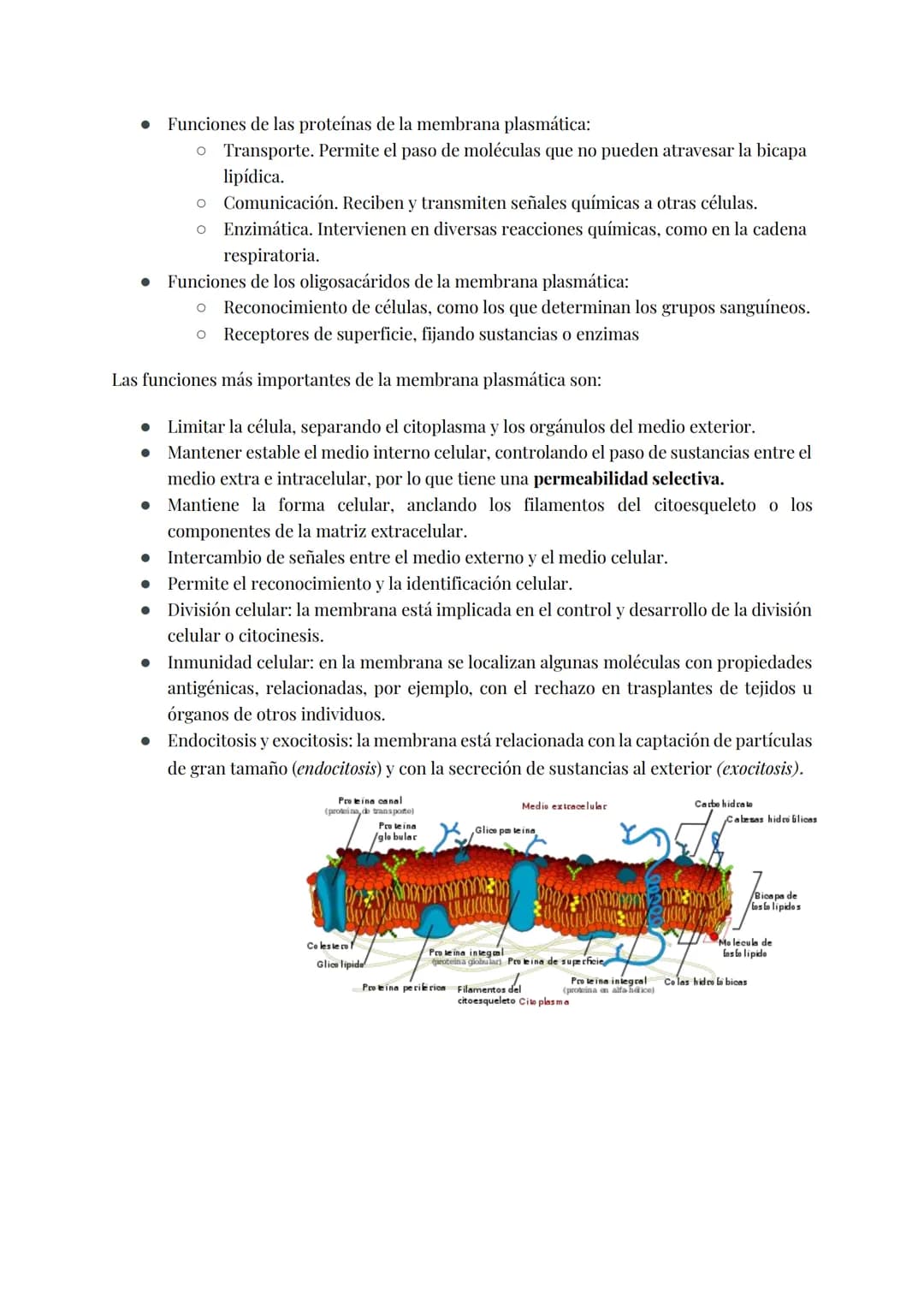 
<h2 id="teoracelular">Teoría Celular</h2>
<p>La teoría celular establece que la célula es la unidad morfológica y fisiológica de todos los 