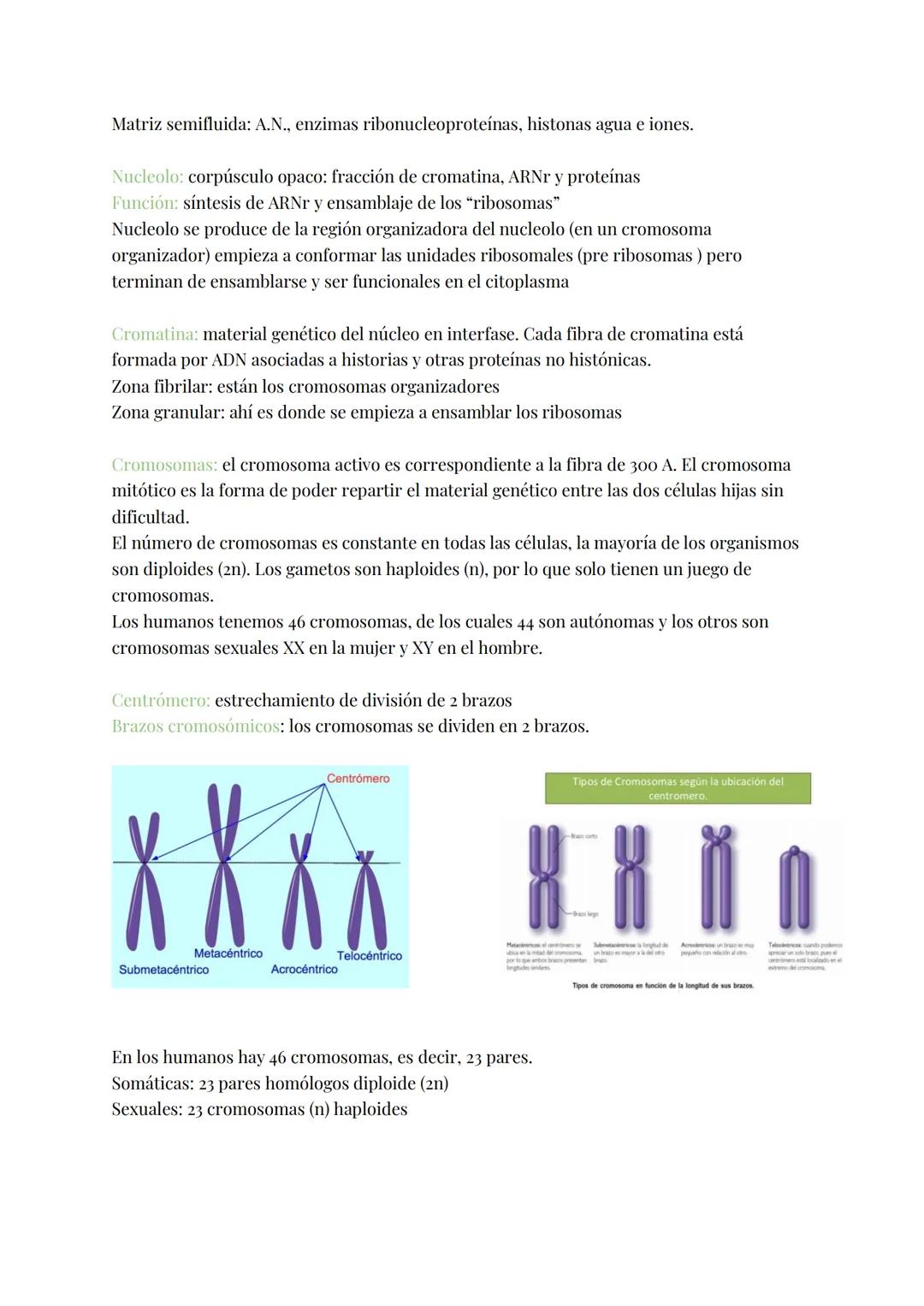 
<h2 id="teoracelular">Teoría Celular</h2>
<p>La teoría celular establece que la célula es la unidad morfológica y fisiológica de todos los 