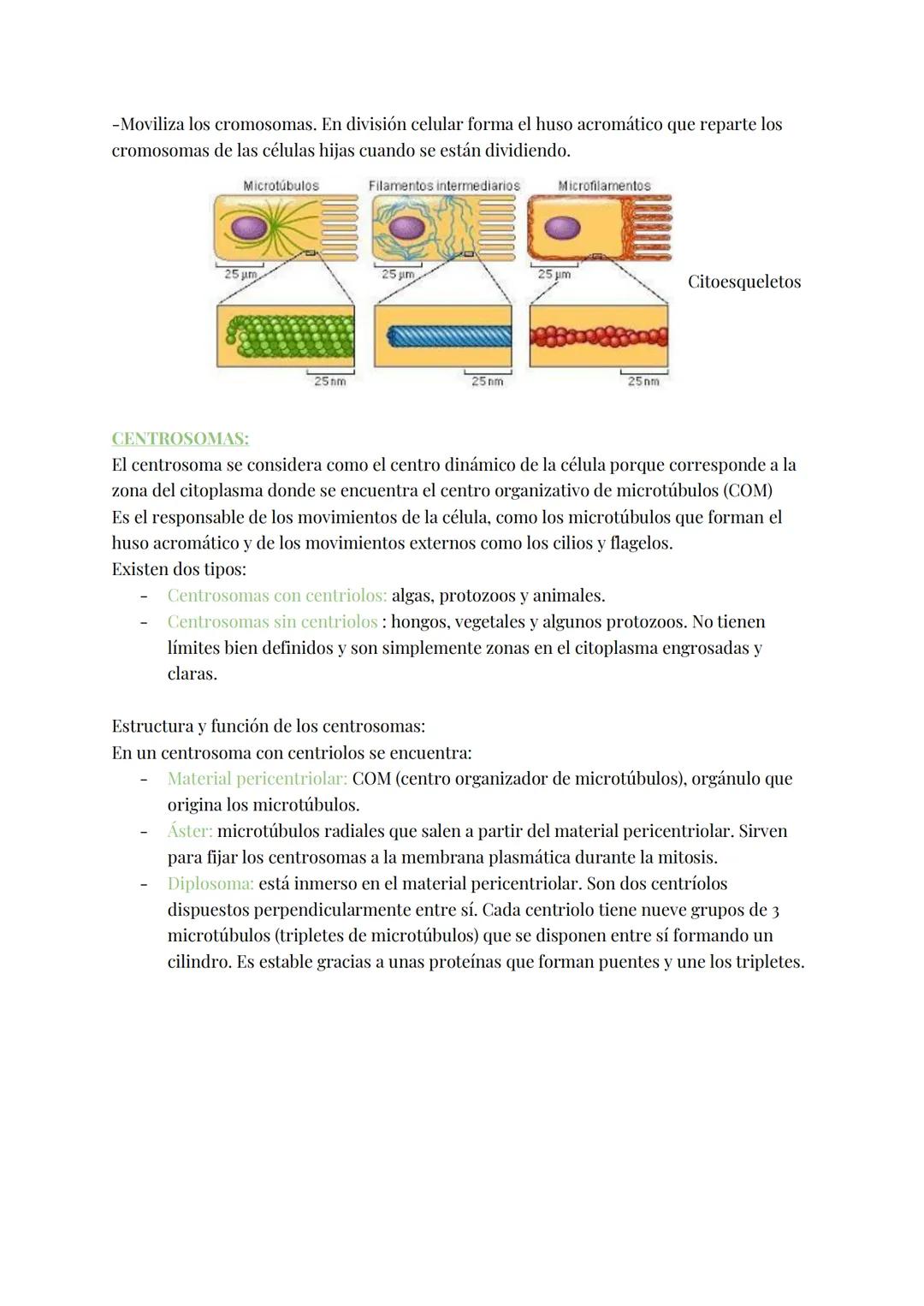 
<h2 id="teoracelular">Teoría Celular</h2>
<p>La teoría celular establece que la célula es la unidad morfológica y fisiológica de todos los 