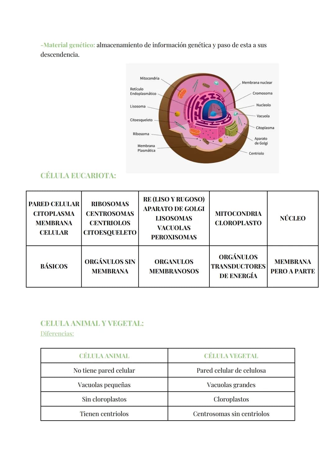 
<h2 id="teoracelular">Teoría Celular</h2>
<p>La teoría celular establece que la célula es la unidad morfológica y fisiológica de todos los 