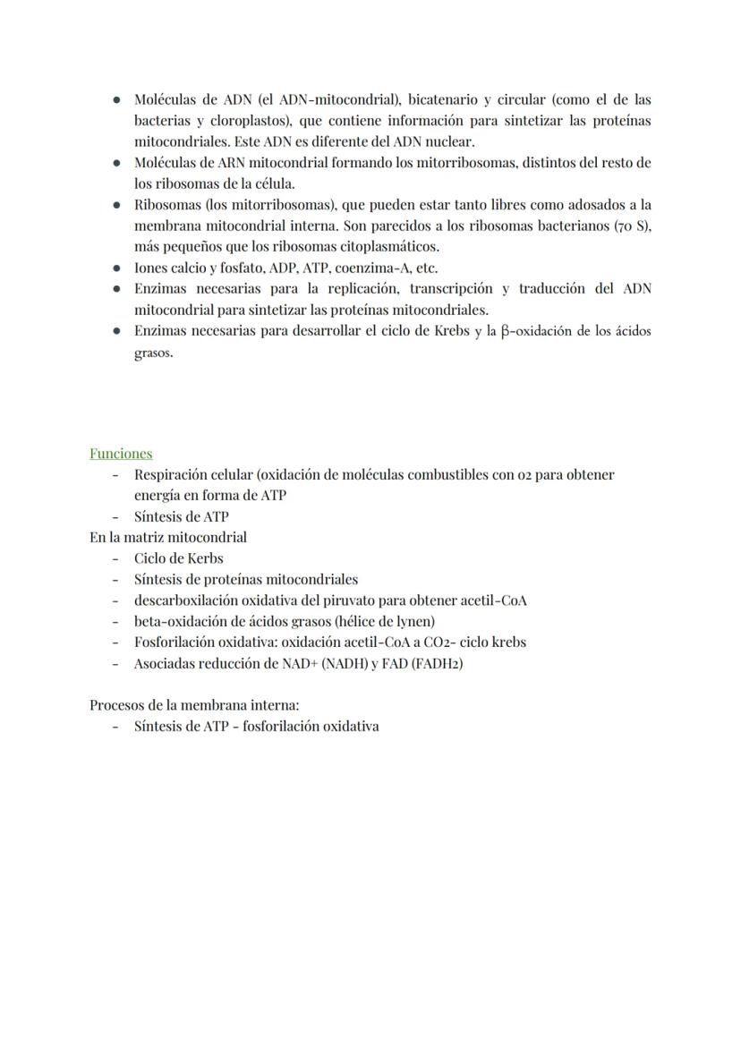 
<h2 id="teoracelular">Teoría Celular</h2>
<p>La teoría celular establece que la célula es la unidad morfológica y fisiológica de todos los 