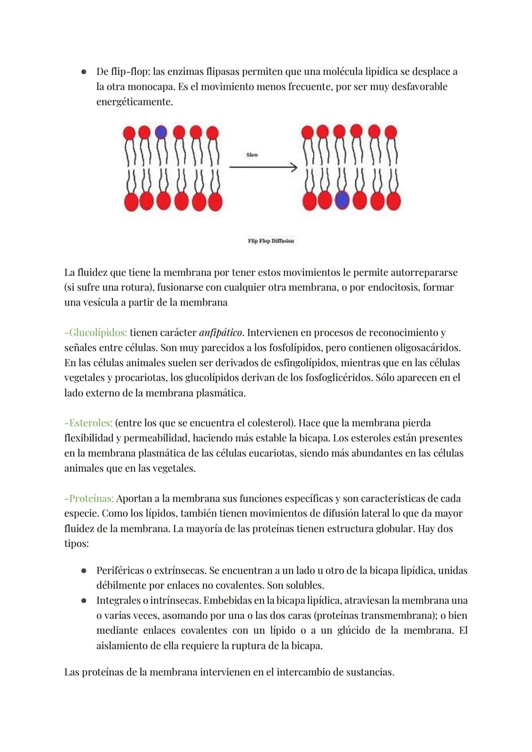 
<h2 id="teoracelular">Teoría Celular</h2>
<p>La teoría celular establece que la célula es la unidad morfológica y fisiológica de todos los 