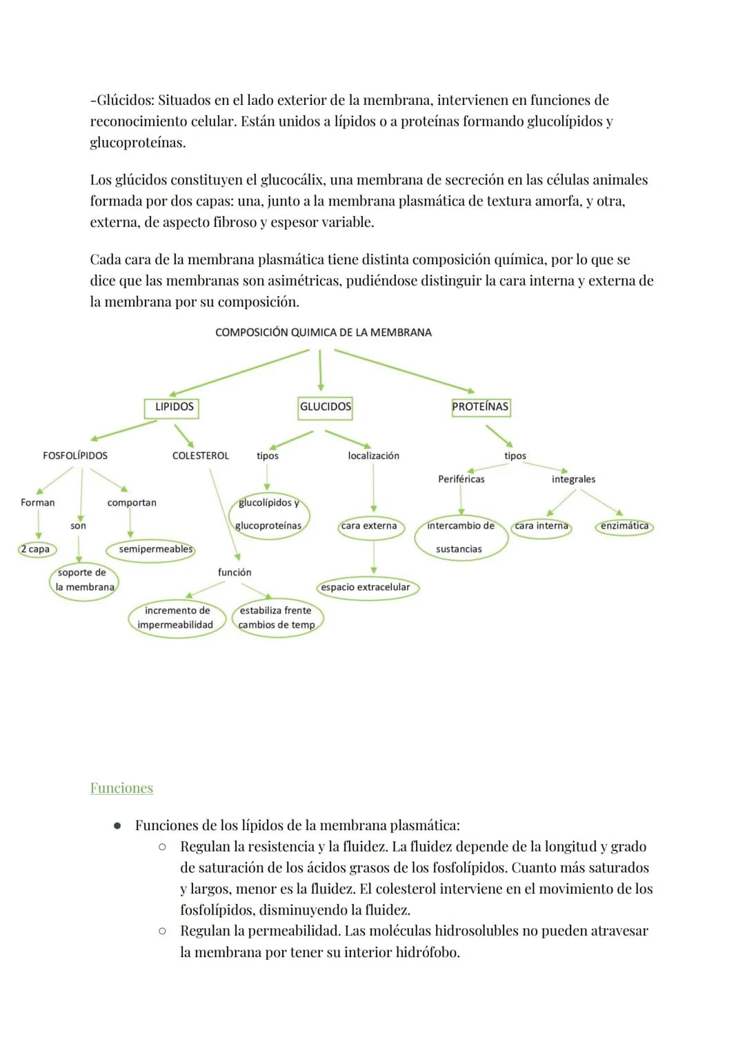 
<h2 id="teoracelular">Teoría Celular</h2>
<p>La teoría celular establece que la célula es la unidad morfológica y fisiológica de todos los 