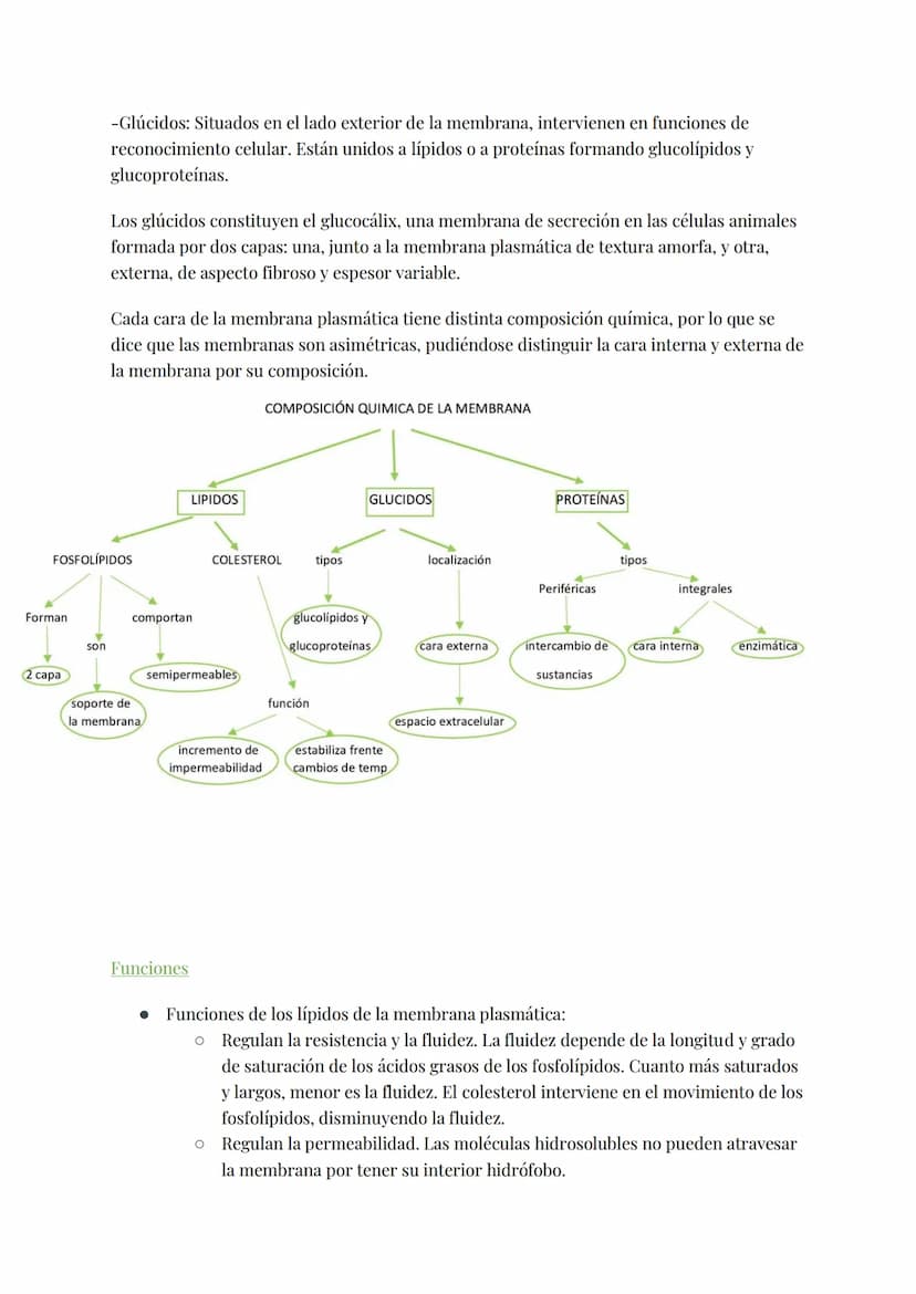 
<h2 id="teoracelular">Teoría Celular</h2>
<p>La teoría celular establece que la célula es la unidad morfológica y fisiológica de todos los 