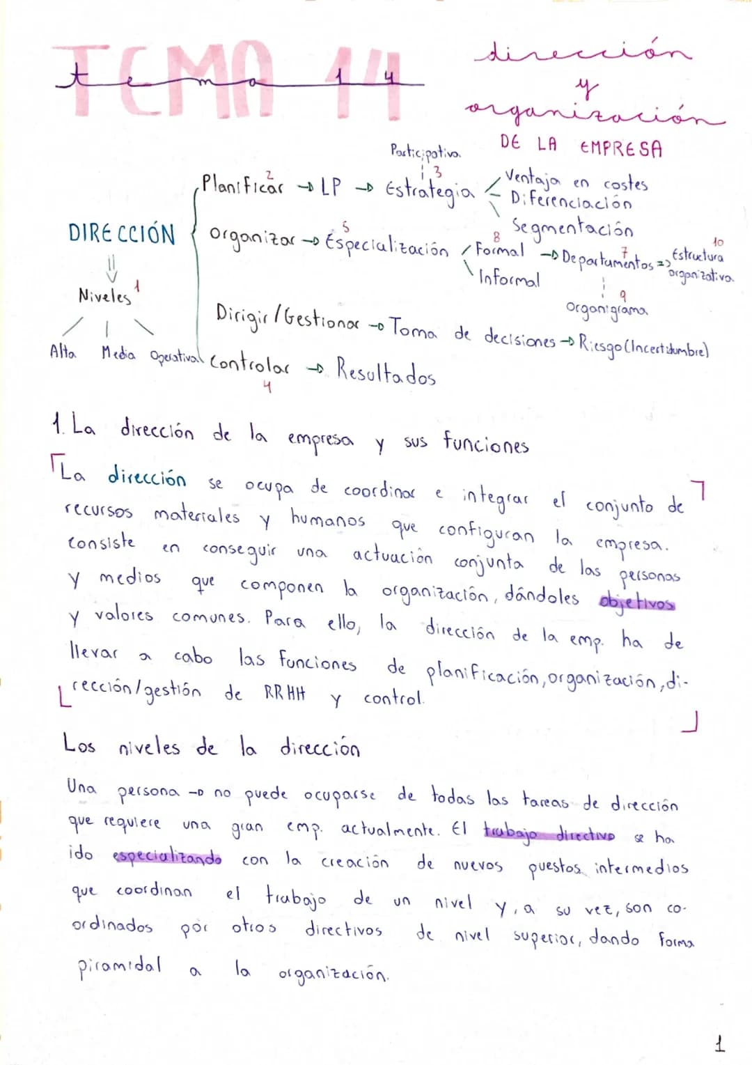 Contrato y Niveles de Dirección en una Empresa: Ejemplos y Funciones