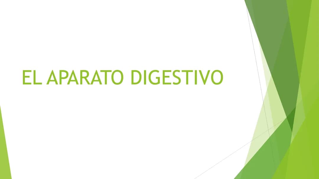 Aparato digestivo; 3o ESO