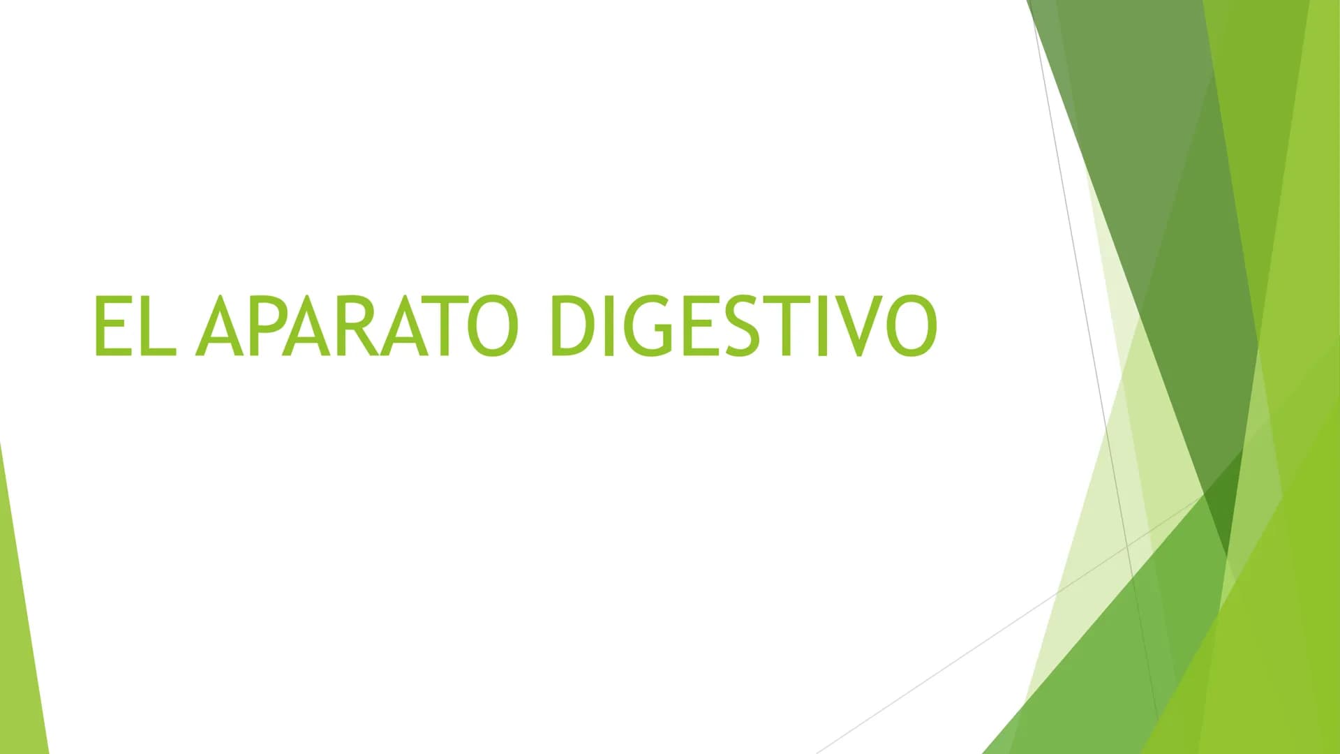 EL APARATO DIGESTIVO Funciones:
Digieren los alimentos.
Absorben los nutrientes.
Formado por:
Tubo digestivo
Glándulas digestivas.
El aparat