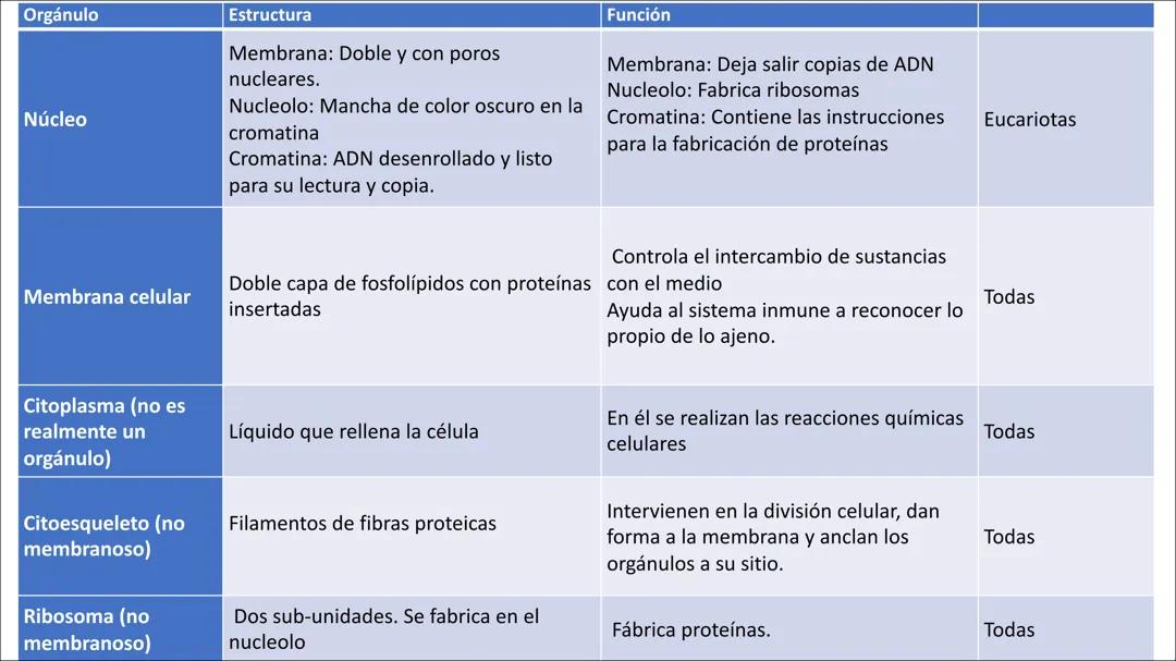 Power Point de Orgánulos (3/4 ESO) - Biología