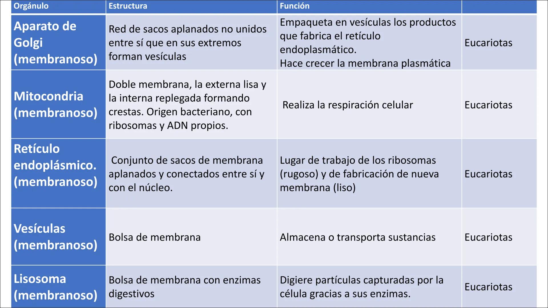 Orgánulo
Estructura
Función
Núcleo
Membrana: Doble y con poros
nucleares.
Nucleolo: Mancha de color oscuro en la
cromatina
Cromatina: ADN de