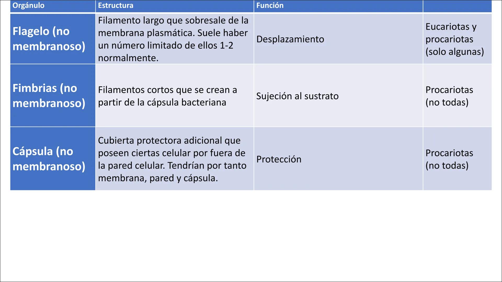 Orgánulo
Estructura
Función
Núcleo
Membrana: Doble y con poros
nucleares.
Nucleolo: Mancha de color oscuro en la
cromatina
Cromatina: ADN de