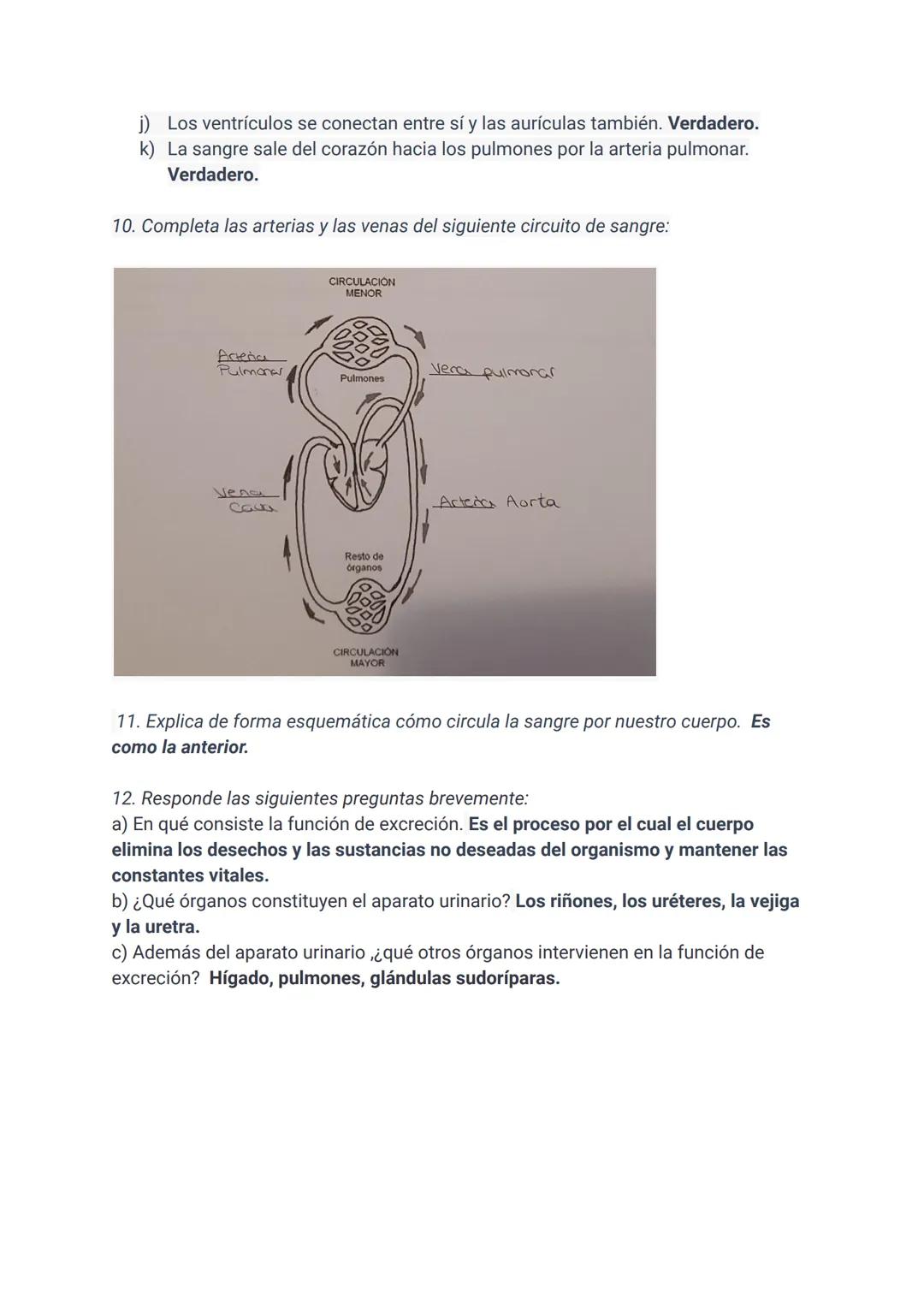 Ficha 3: APARATO DIGESTIVO, RESPIRATORIO, CIRCULATORIO Y EXCRETOR
1. ¿Cuáles son los aparatos implicados en realizar la función de nutrición