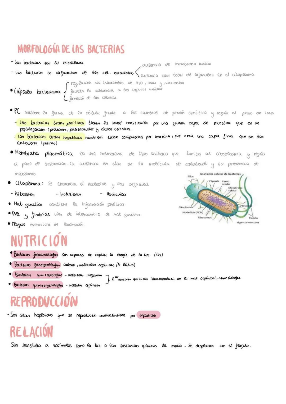 LA DIVERSIDAD DE LOS MICROORGANISMOS
La
microbiologia es la ciencia que estudia los microorganismos. Tiene representantes en tro de las
5 re