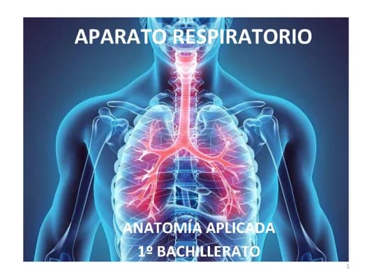 Know APARATO RESPIRATORIO thumbnail