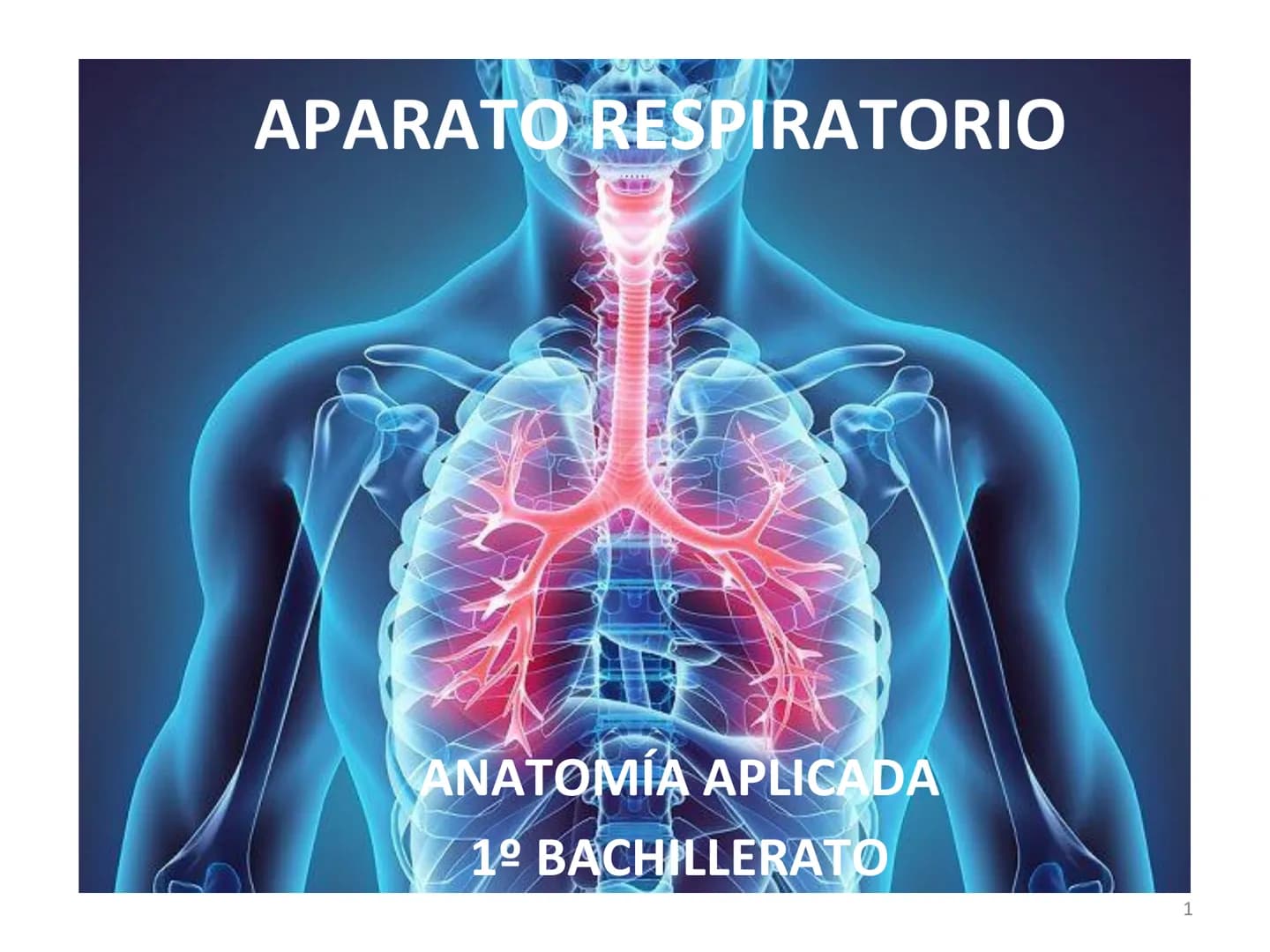 APARATO RESPIRATORIO
ANATOMÍA APLICADA
1º BACHILLERATO
1 El aparato respiratorio realiza las siguientes FUNCIONES:
Realiza el intercambio de
