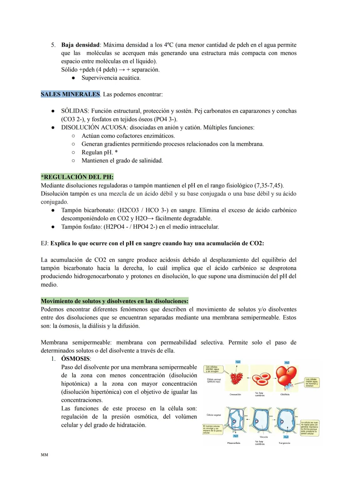 MM
BIOLOGÍA
PARA SACAR UN 10! BLOQUE I:
LA BASE MOLECULAR Y
FÍSICO-QUÍMICA DE LA VIDA
1. EL AGUA Y LAS SALES MINERALES.
MM
2. GLÚCIDOS Y LÍP