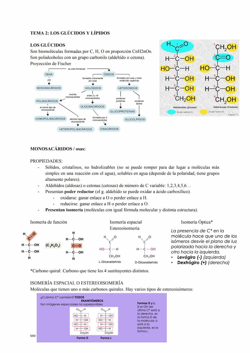 MM
BIOLOGÍA
PARA SACAR UN 10! BLOQUE I:
LA BASE MOLECULAR Y
FÍSICO-QUÍMICA DE LA VIDA
1. EL AGUA Y LAS SALES MINERALES.
MM
2. GLÚCIDOS Y LÍP