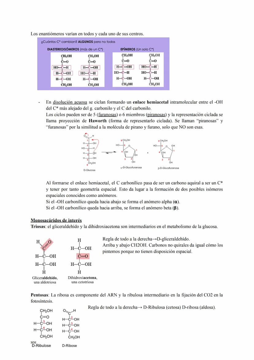 MM
BIOLOGÍA
PARA SACAR UN 10! BLOQUE I:
LA BASE MOLECULAR Y
FÍSICO-QUÍMICA DE LA VIDA
1. EL AGUA Y LAS SALES MINERALES.
MM
2. GLÚCIDOS Y LÍP