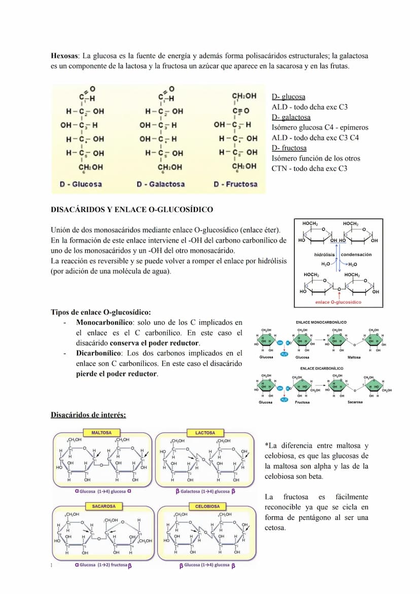MM
BIOLOGÍA
PARA SACAR UN 10! BLOQUE I:
LA BASE MOLECULAR Y
FÍSICO-QUÍMICA DE LA VIDA
1. EL AGUA Y LAS SALES MINERALES.
MM
2. GLÚCIDOS Y LÍP