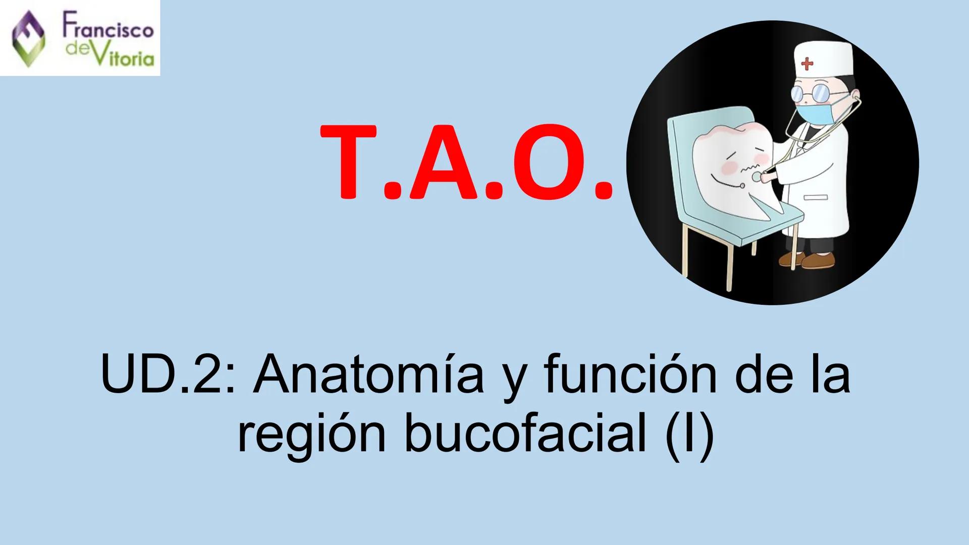 Francisco
deVitoria
T.A.O.
UD.2: Anatomía y función de la
región bucofacial (1) Francisco
deVitoria
Anatomía de la región bucofacial
La anat