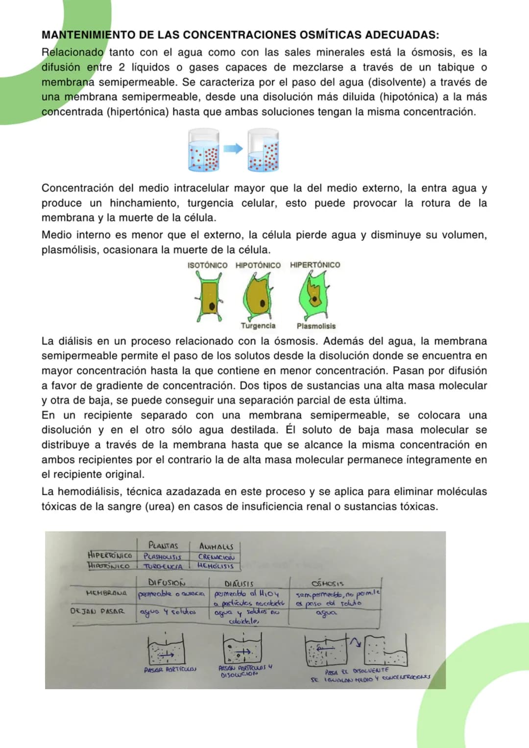 # Tema : 1

# BIOELEMENTOS

## 1.BIOELEMENTOS

Son las moléculas que constituyen los seres vivos, son unos 70 elementos llamados bioelemento