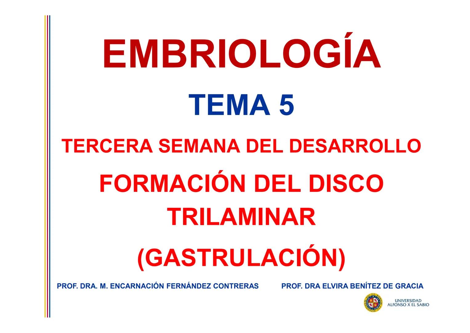 EMBRIOLOGÍA
TEMA 5
TERCERA SEMANA DEL DESARROLLO
FORMACIÓN DEL DISCO
TRILAMINAR
(GASTRULACIÓN)
PROF. DRA. M. ENCARNACIÓN FERNÁNDEZ CONTRERAS