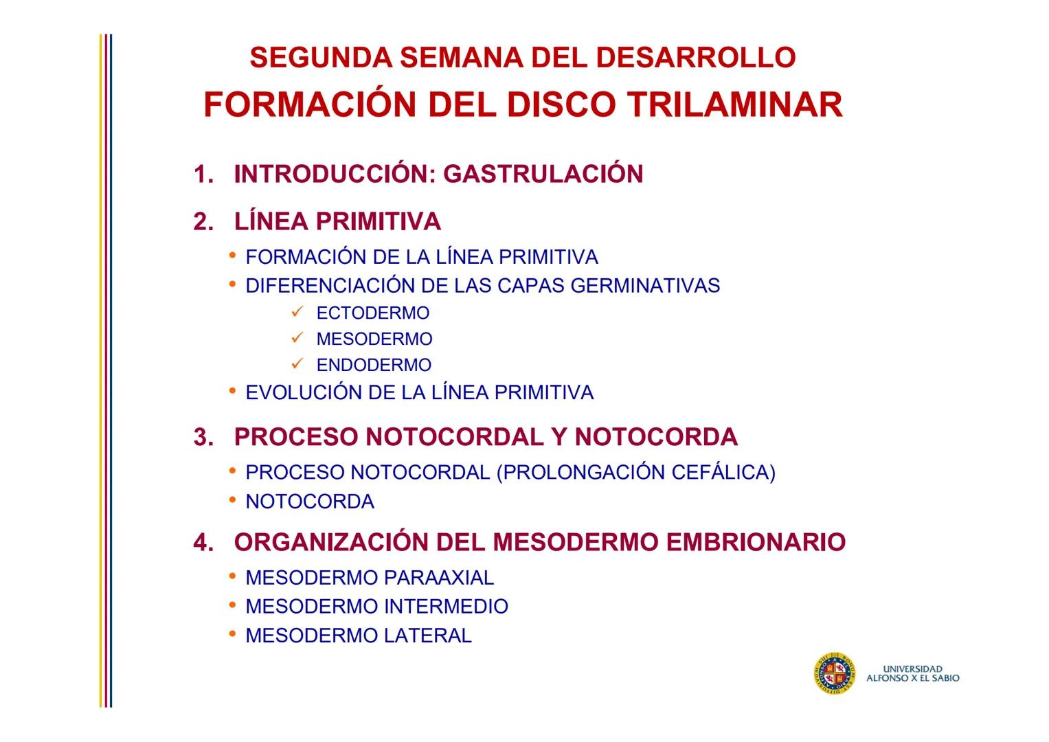 EMBRIOLOGÍA
TEMA 5
TERCERA SEMANA DEL DESARROLLO
FORMACIÓN DEL DISCO
TRILAMINAR
(GASTRULACIÓN)
PROF. DRA. M. ENCARNACIÓN FERNÁNDEZ CONTRERAS