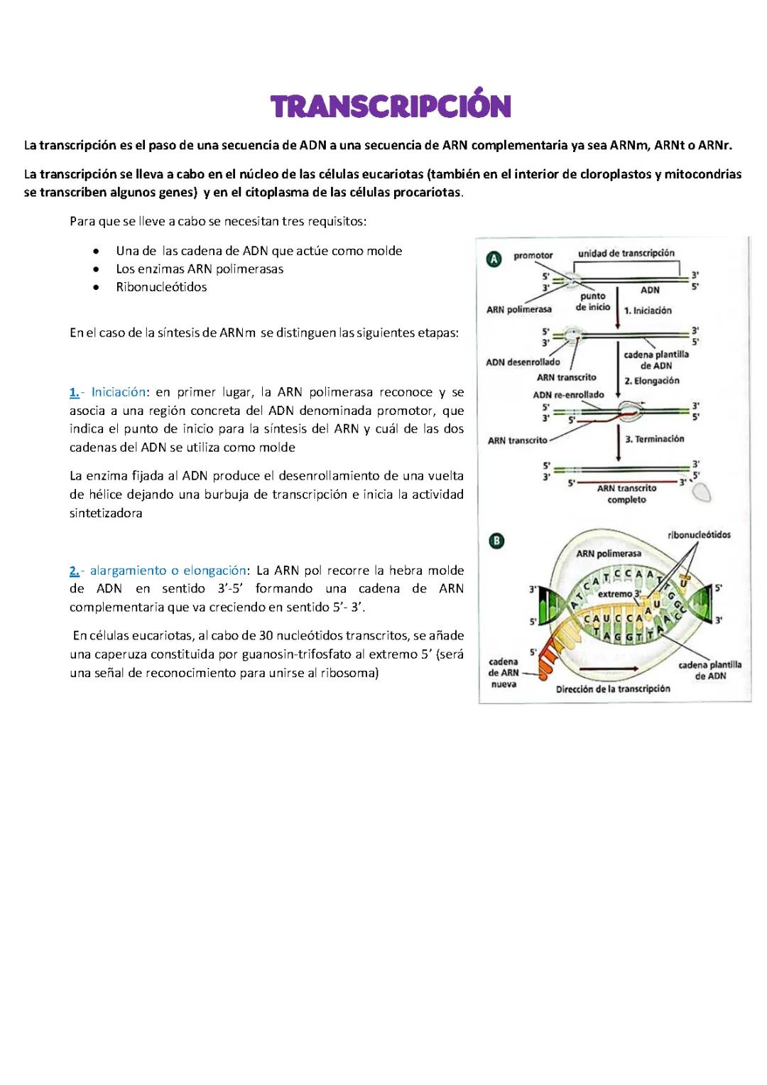 Transcripción de Documentos: Guía Completa