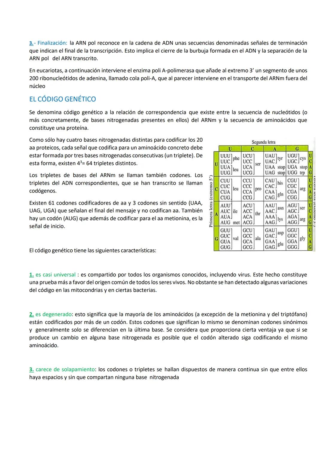 TRANSCRIPCIÓN
La transcripción es el paso de una secuencia de ADN a una secuencia de ARN complementaria ya sea ARNm, ARNt o ARNr.
La transcr