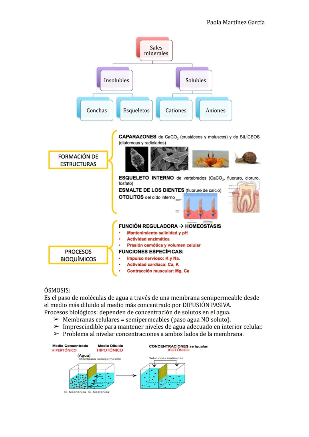 TEMA 1: LA BASE MOLECULAR DE LA VIDA:
1. COMPOSICIÓN DE LA MATERIA VIVA:
1.1. CARACTERÍSTICAS QUE DEFINEN A LOS SERES VIVOS:
Composición quí