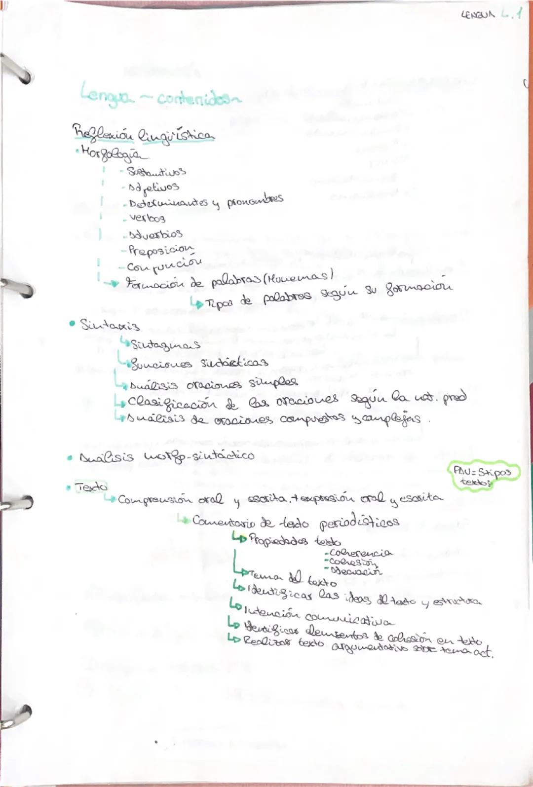 LENGUR 6.1

Lengua-conteniden

Reflexión linguistica
- Horgologia
  - Sustantivos
  -sdretivos
  -Determinantes y pronombres
  -verbos
  -Ad