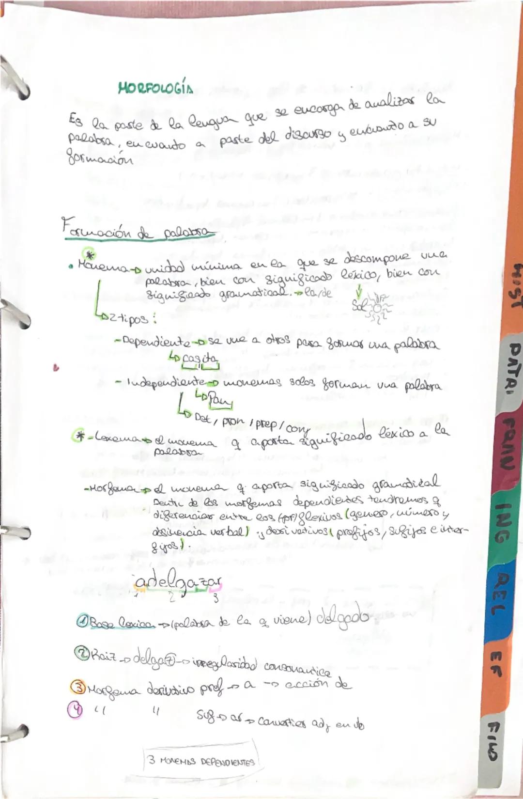 LENGUR 6.1

Lengua-conteniden

Reflexión linguistica
- Horgologia
  - Sustantivos
  -sdretivos
  -Determinantes y pronombres
  -verbos
  -Ad