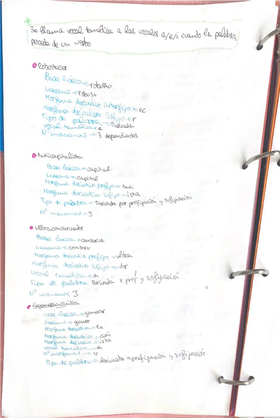 LENGUR 6.1

Lengua-conteniden

Reflexión linguistica
- Horgologia
  - Sustantivos
  -sdretivos
  -Determinantes y pronombres
  -verbos
  -Ad