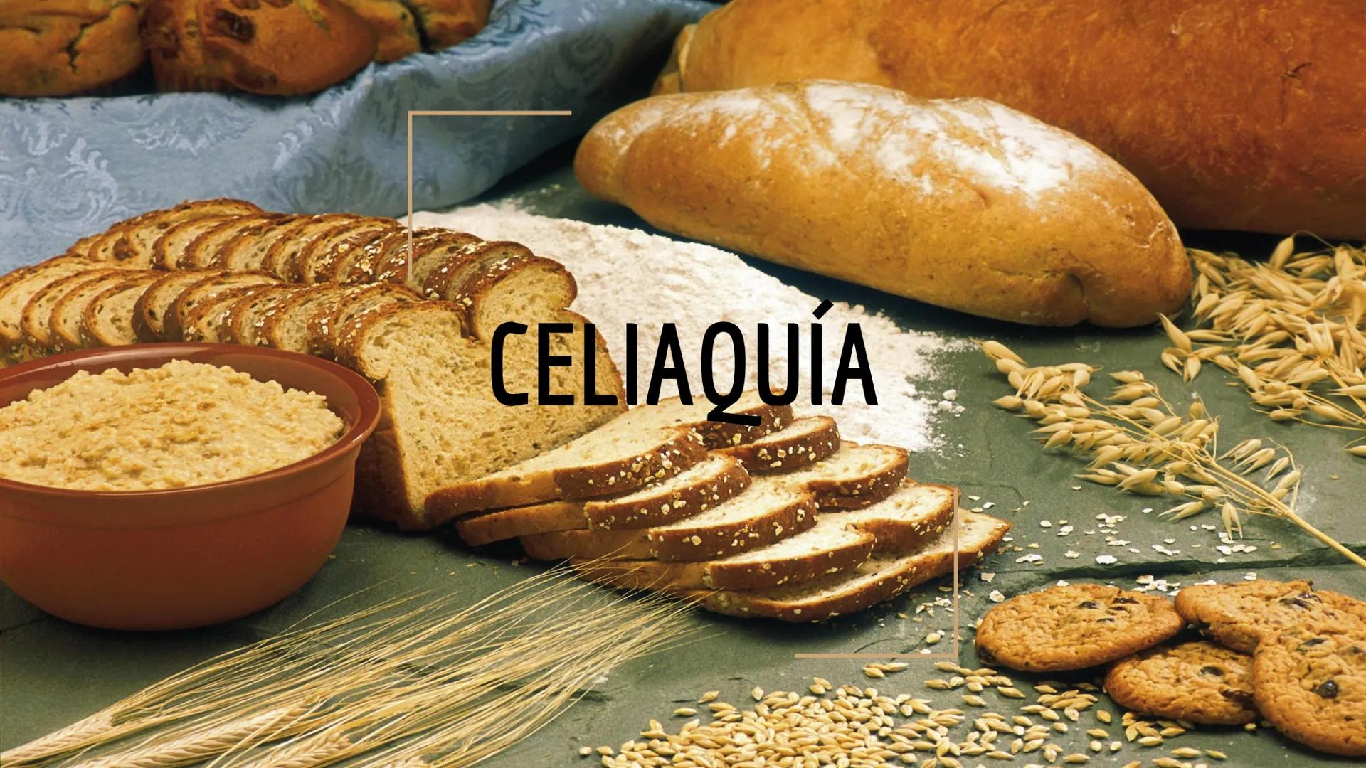 CELIAQUÍA ÍNDICE
1. ¿Qué es la enfermedad celíaca?
2. Diagnóstico de la EC
3. Incidencia
4. Síntomas, factores ambientales y epidemiología
5