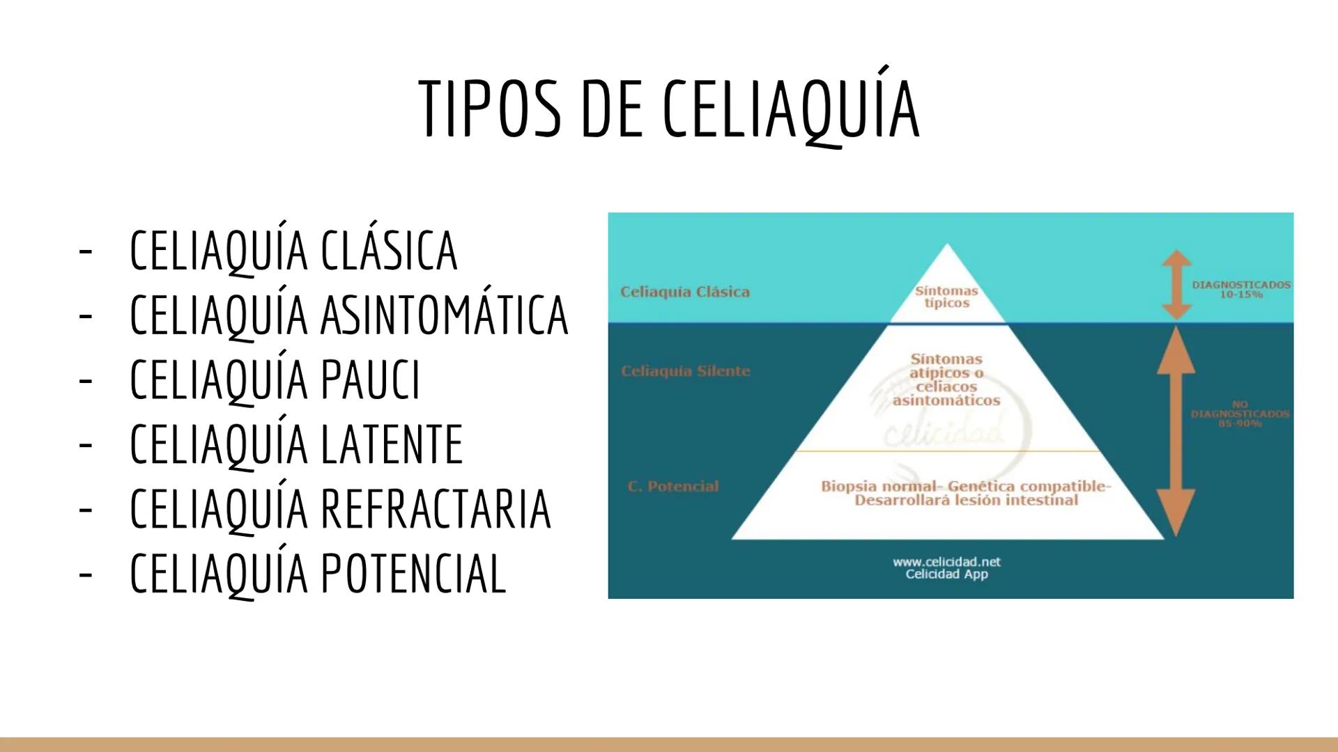 CELIAQUÍA ÍNDICE
1. ¿Qué es la enfermedad celíaca?
2. Diagnóstico de la EC
3. Incidencia
4. Síntomas, factores ambientales y epidemiología
5