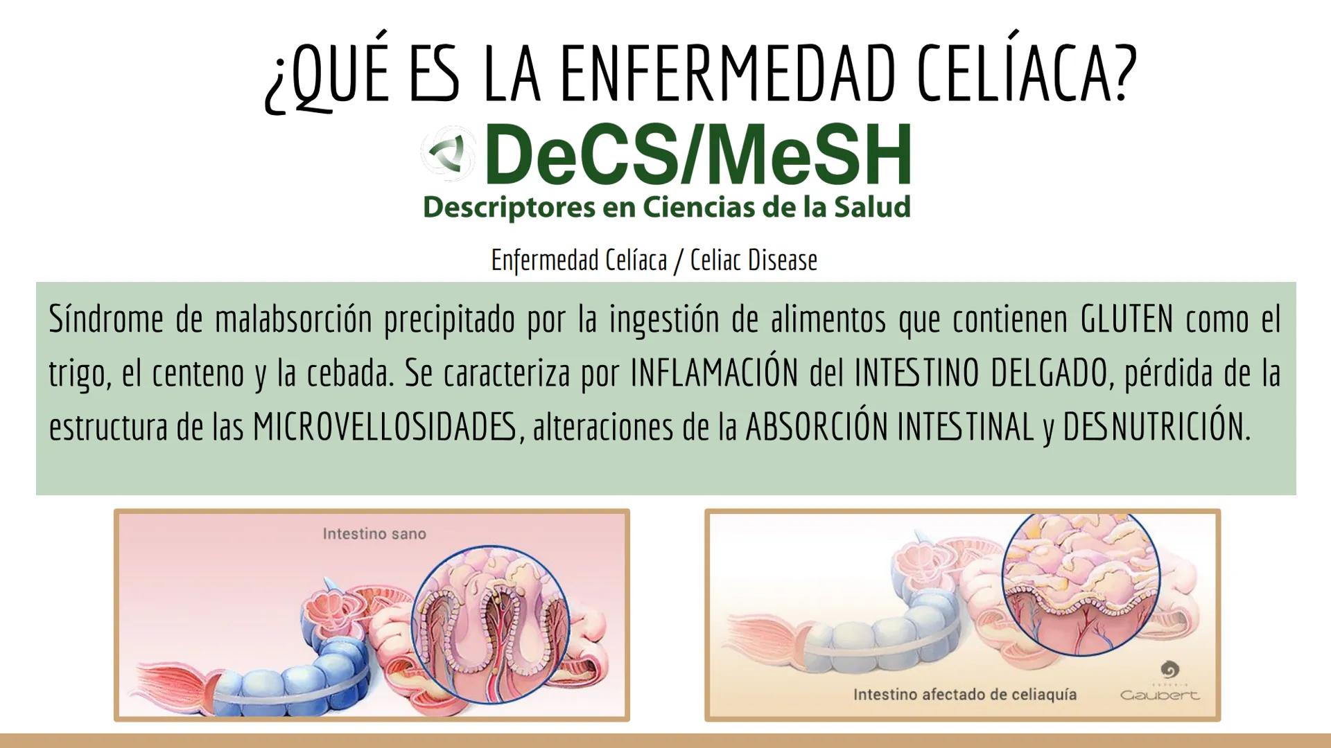 CELIAQUÍA ÍNDICE
1. ¿Qué es la enfermedad celíaca?
2. Diagnóstico de la EC
3. Incidencia
4. Síntomas, factores ambientales y epidemiología
5