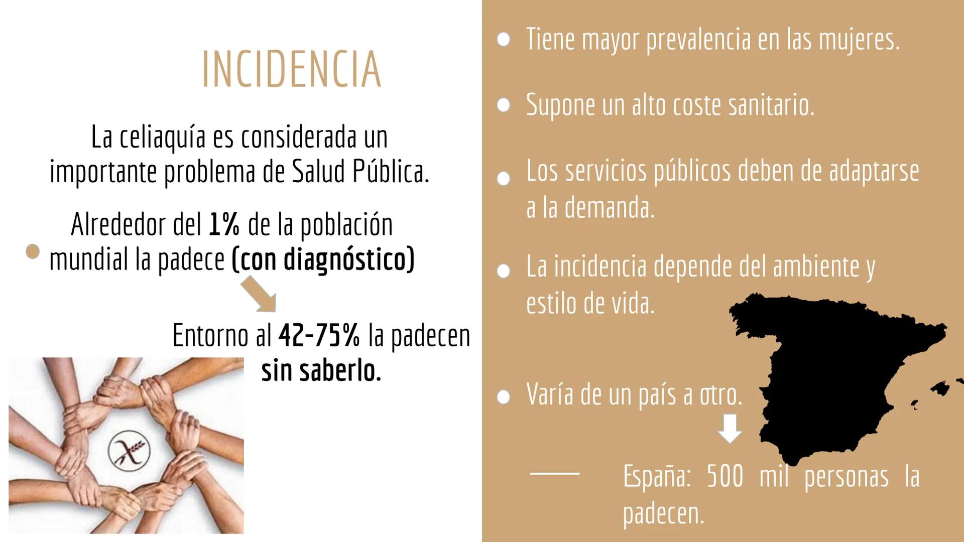 CELIAQUÍA ÍNDICE
1. ¿Qué es la enfermedad celíaca?
2. Diagnóstico de la EC
3. Incidencia
4. Síntomas, factores ambientales y epidemiología
5